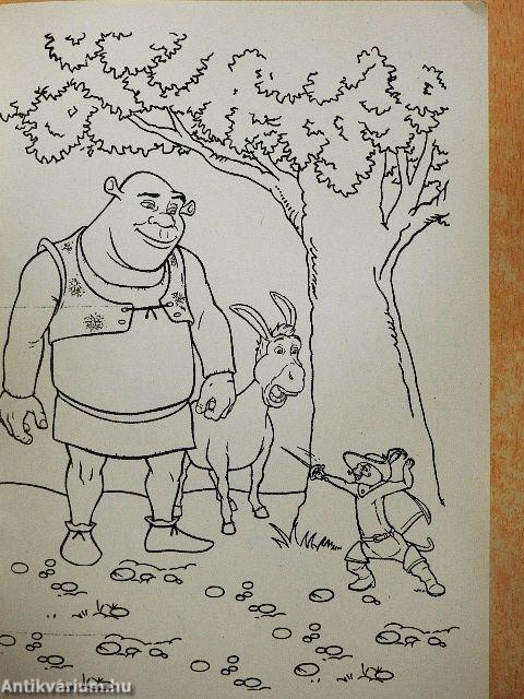 Shrek kifestő