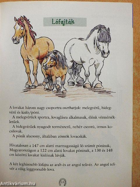 Első lovas könyvem