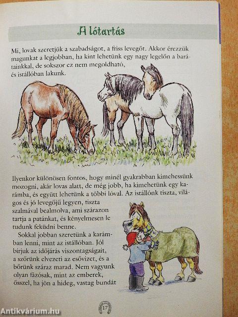 Első lovas könyvem