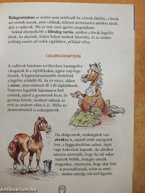 Első lovas könyvem