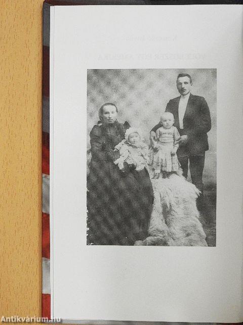 Volt egyszer egy Amerika