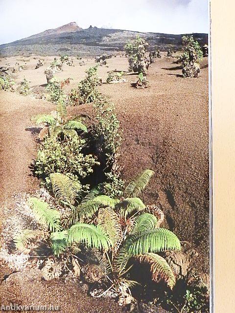 National Geographic October 2004