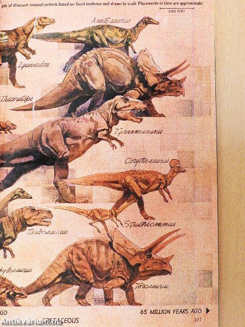 National Geographic August 1978