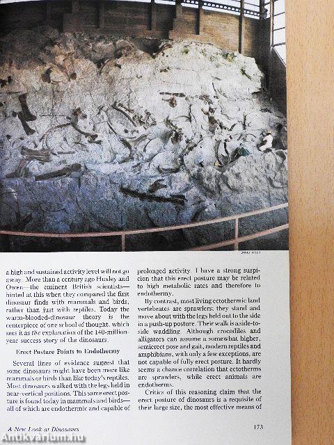 National Geographic August 1978