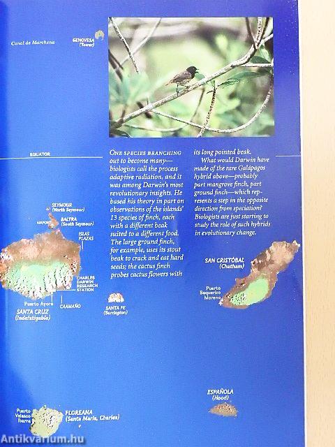 National Geographic April 1999