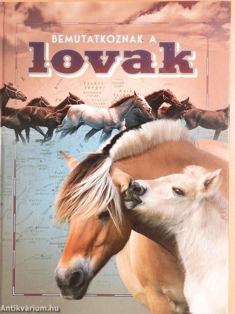 Bemutatkoznak a lovak