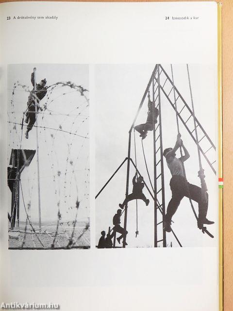 A szocialista haza szolgálatában