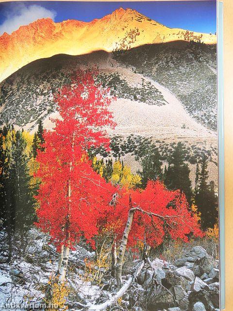 Észak-Amerika természeti csodái