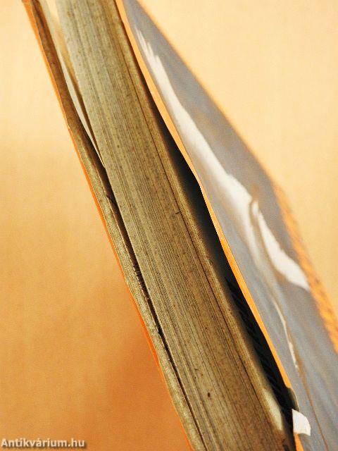 Madarakról - Mindenkinek