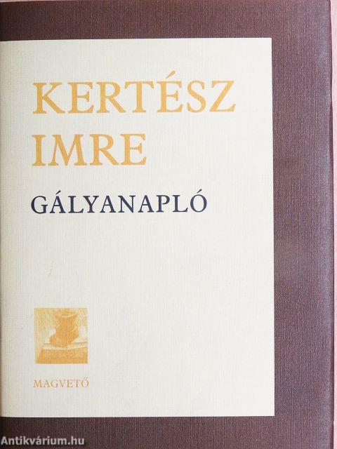 Gályanapló