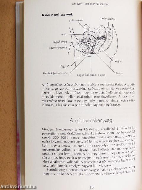 Gyereket szeretnénk