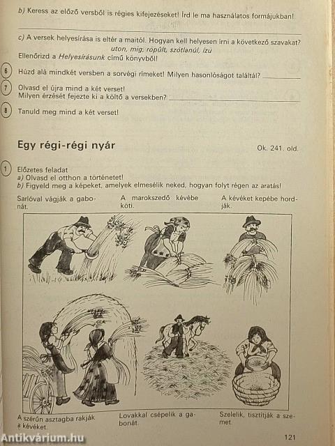 Olvasási munkafüzet 3.