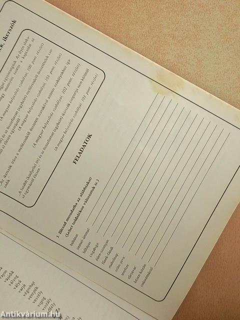 Én és a helyesírás