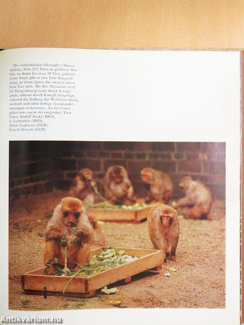 Zoo fotografie