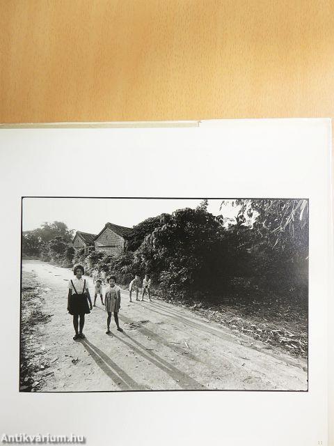 Man and Land