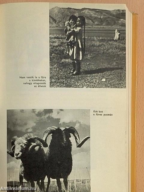 Egymillió hős országa