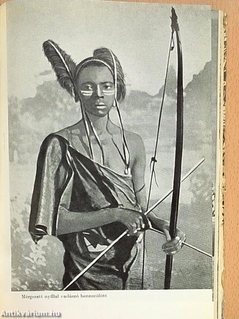 Afrikai vadászemlékek