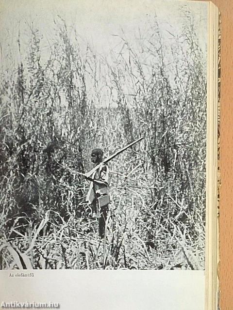 Afrikai vadászemlékek