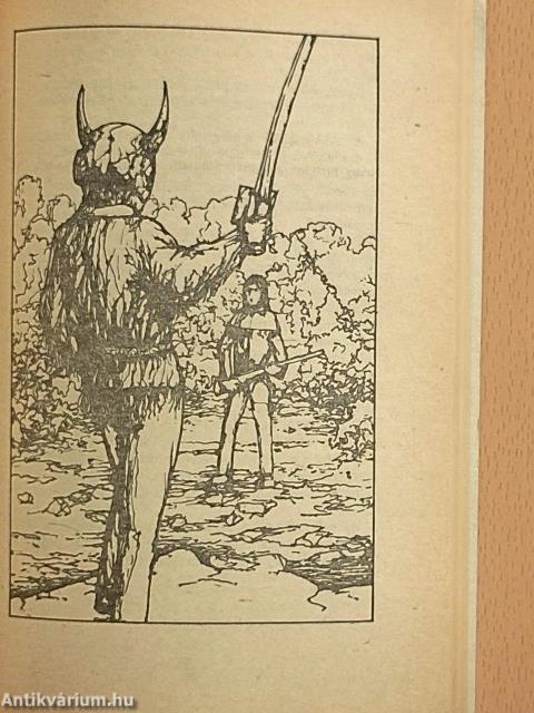 A sarkvidék Robinsonjai