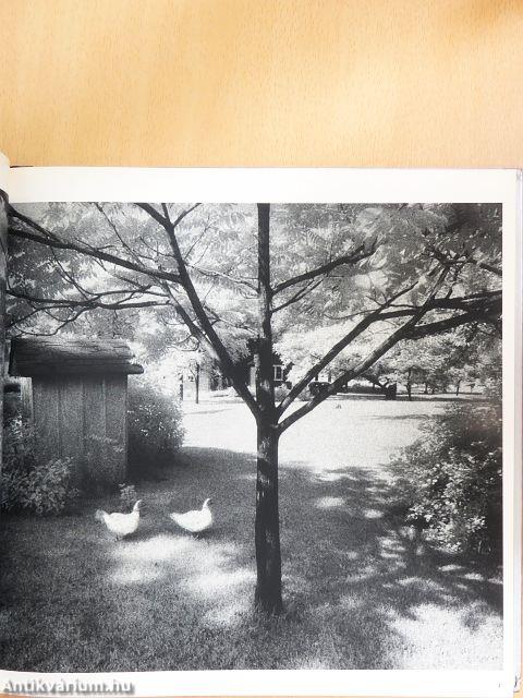 Photography Year 1975