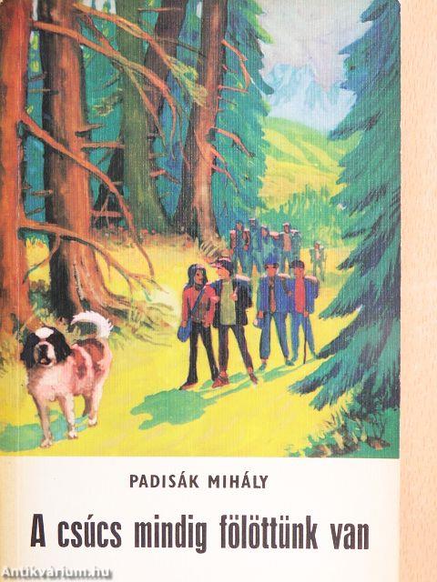 A csúcs mindig fölöttünk van