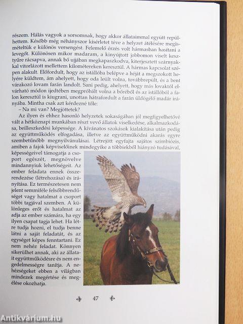 Lóháton fegyverben