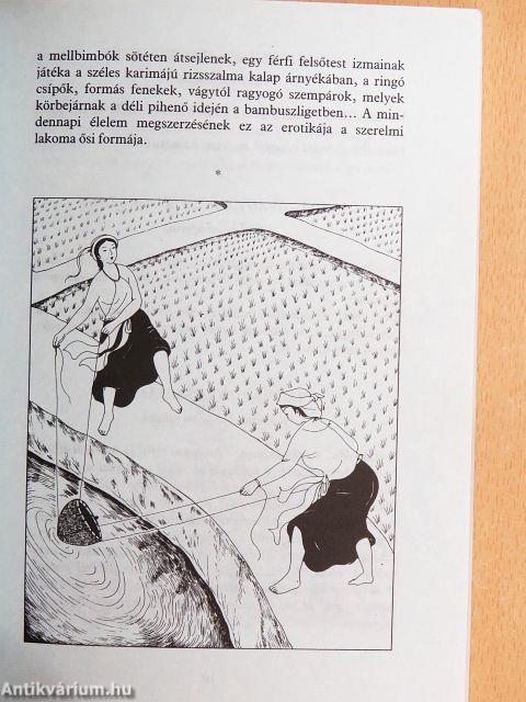 A rizsföldek szerelme