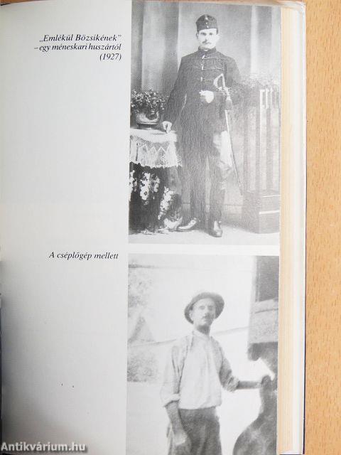 A nyughatatlan főispán