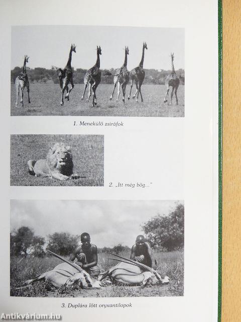 Afrikai tábortüzek