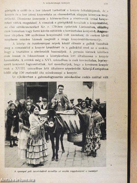 A műveltség útja I.