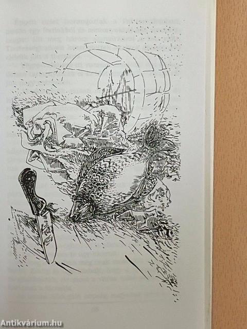 Aranyország rejtelmei