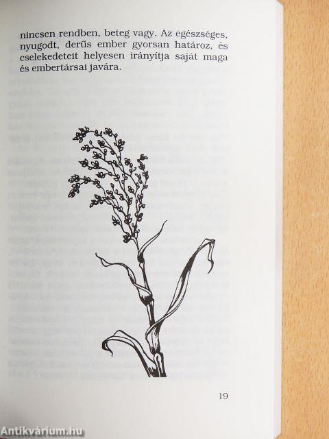 A fiatalodás művészete