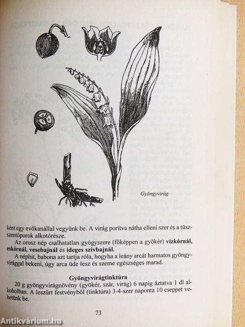 A növényi gyógymódok