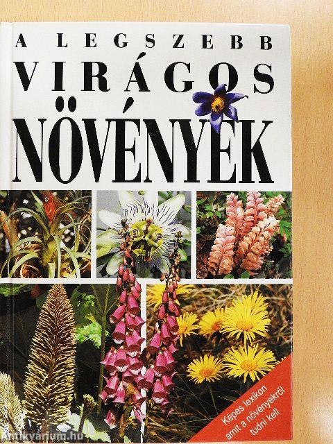 A legszebb virágos növények