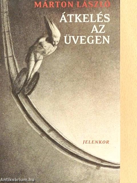 Átkelés az üvegen