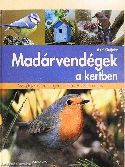 Madárvendégek a kertben