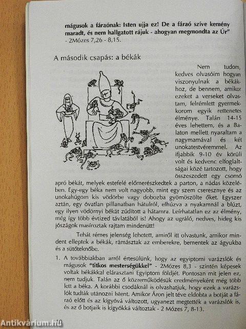 Ajtónyitás: Vajon kinek?