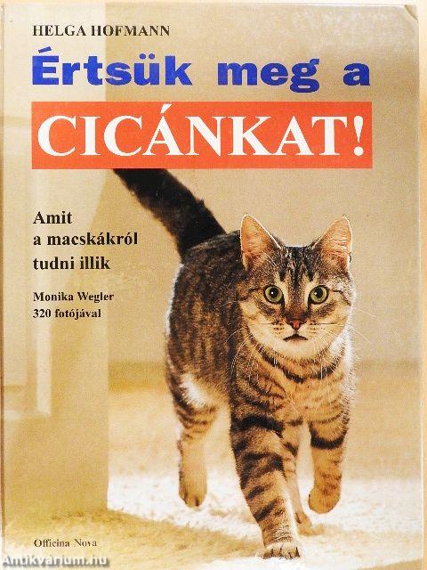 Értsük meg a cicánkat!
