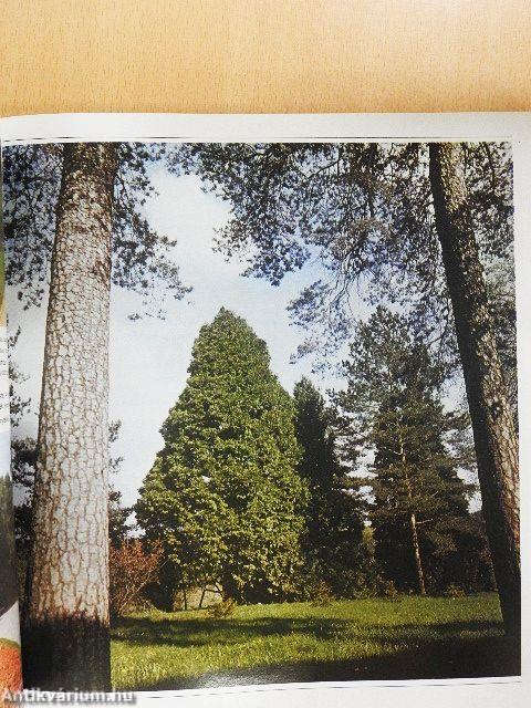 A kert élő díszei