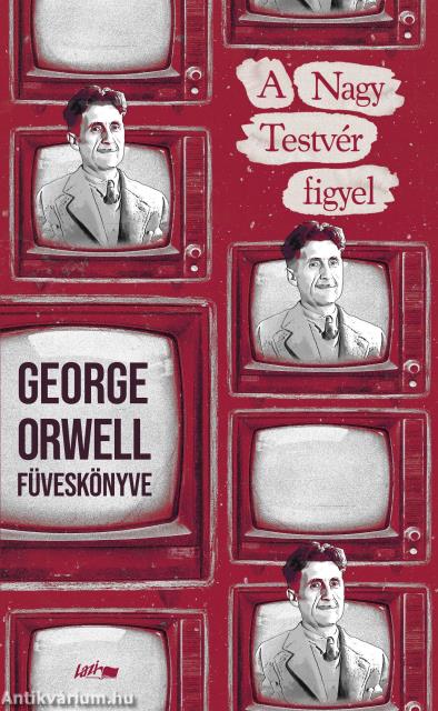 A Nagy Testvér figyel