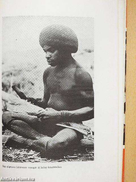 Vad Új-Guinea