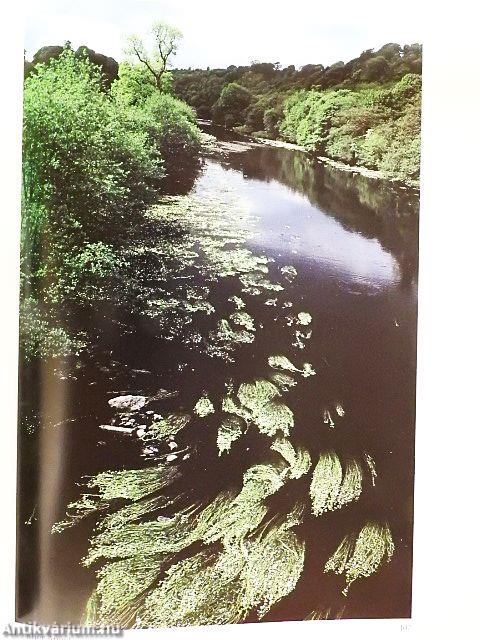 Photography Year Book 1982