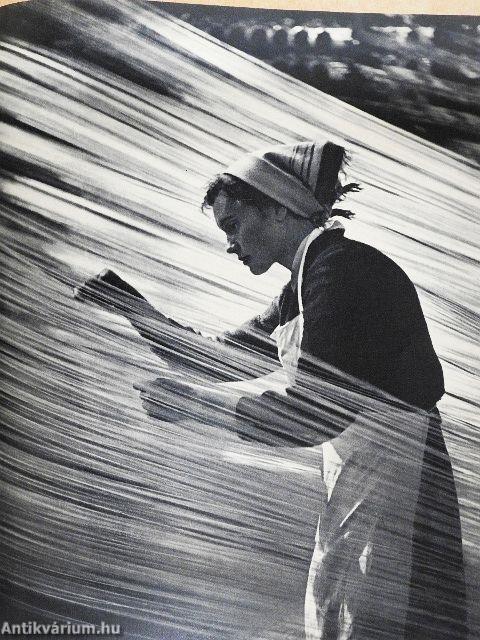 Interpress-foto 1960