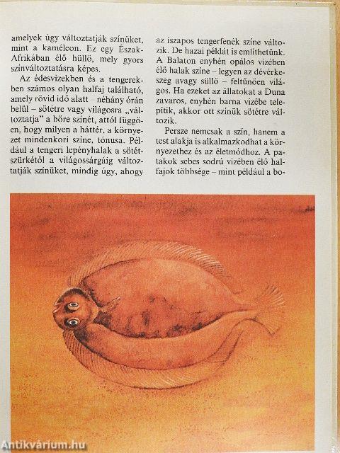 Bölcső a víz alatt