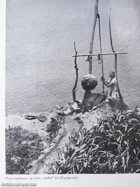 A világgazdaság földrajza