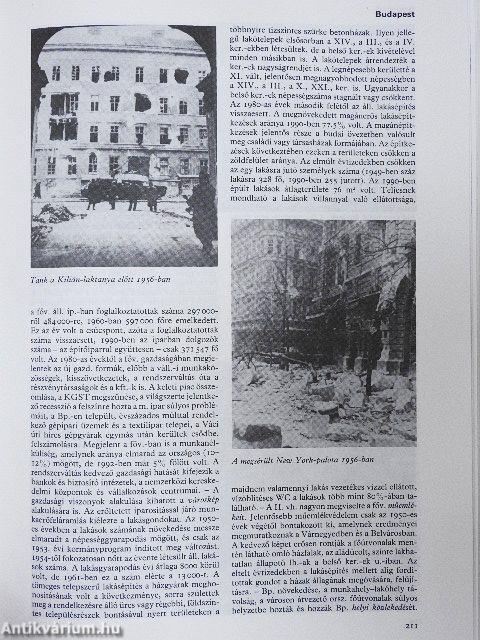 Budapest Lexikon I-II.