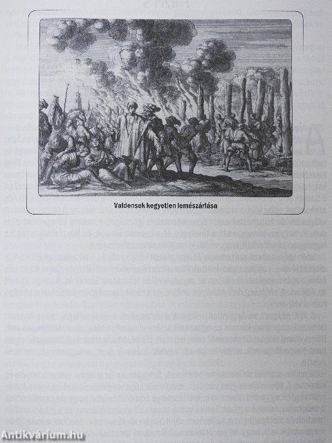 A nagy küzdelem