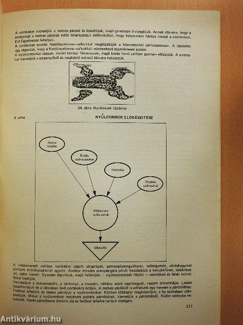 Ételkészítési ismeretek II. 