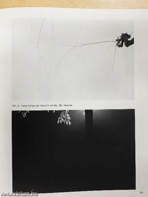 Die japanische Photographie