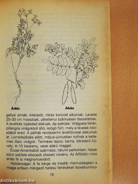 Mérgező növények